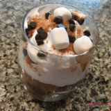 Vegan S'mores Sundae